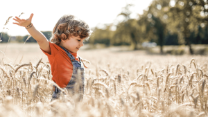 Online Adoption Information Event - Saturday 01 August 2026 - 10am