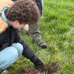 Annie's Son Planting A Tree